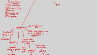 Microevolution - HW Conditions I | BIALIGY.com