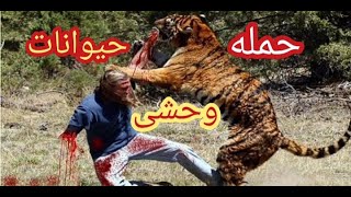 حمله حیوانات وحشی به انسان  #حیوانات #paranormal #جن #ghost #جستجوگر #scary #تسخیر #creepy #ارواح