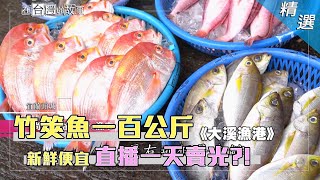 大溪漁港宜蘭頭城這裡買魚超新鮮 一百公斤竹筴魚直播一天賣光【在台灣的故事 漁市】節目精選