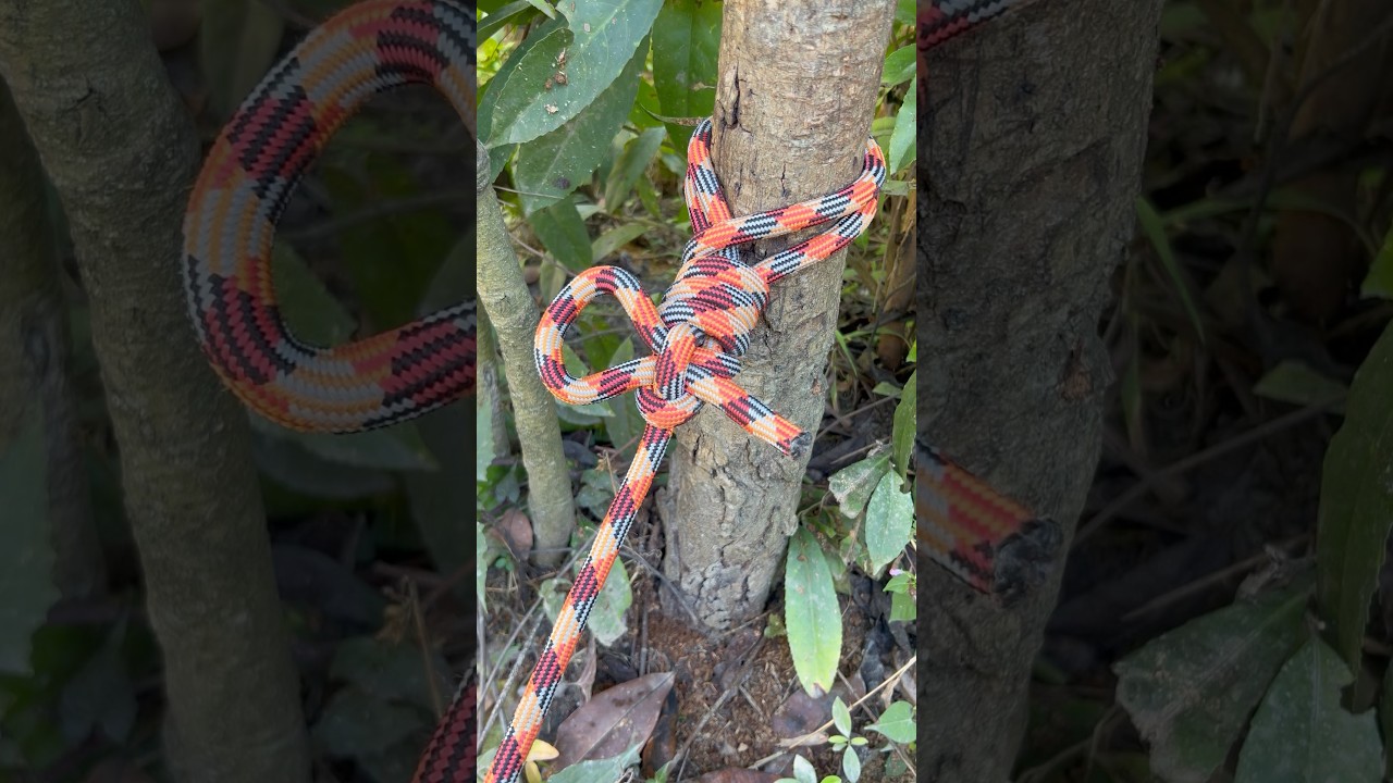 Essential Knot everyone need to know