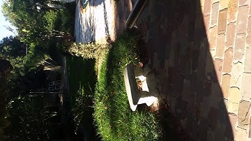 MacDev Clone GTi(d) Shooting Video