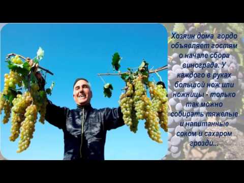 Ртвели праздник сбора урожая винограда !