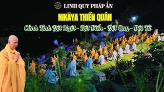 NIKAYA Thiền Quán - Cảnh Tỉnh Đột Ngột - Đột Biến - Đột Quỵ - Đột Tử