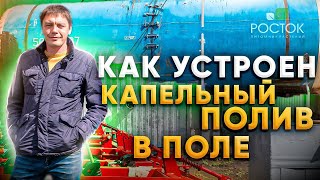 Как устроен капельный полив в поле? Питомник Росток.