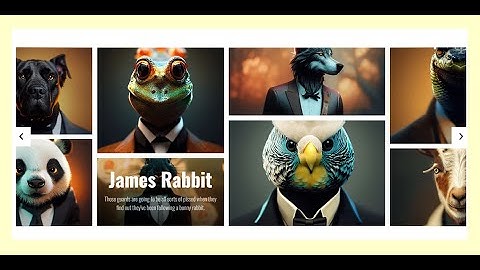 Masonry Gallery Carousel || Slider Revolution 6