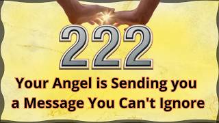 222 Your Angel is Sending you a Message You Can't Ignore ✨