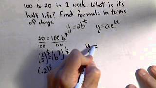 Celebrity Finding Half Life and Creating Exponential Function Net Worth