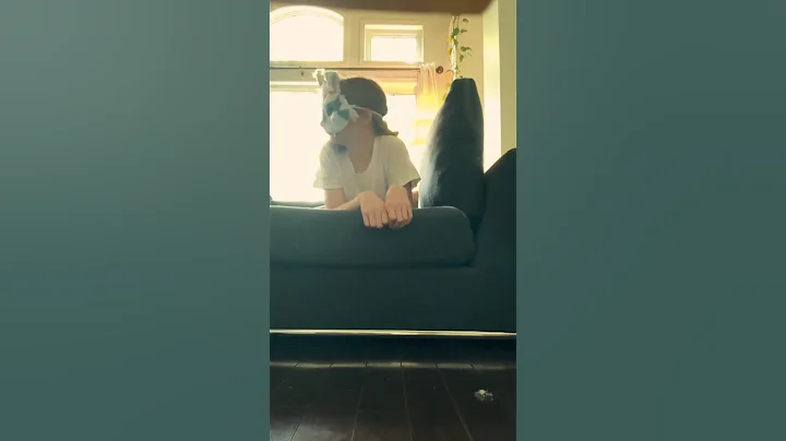 Warning. May cause unwanted shifts. #therian