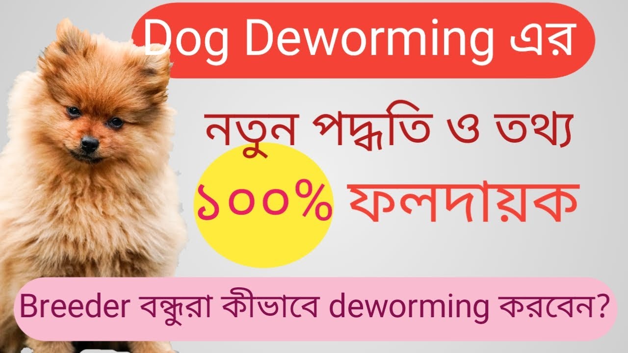 Dog Deworming//Best Deworming Method For Dog and Puppy //Deworming