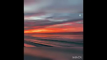 Jony Hammali Navai Best Song 