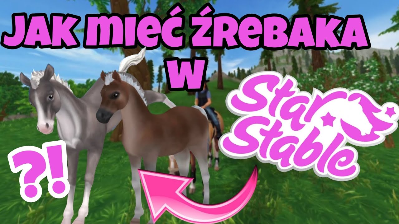 Skąd Wziąć Wiadro W Star Stable JAK MIEĆ ŹREBAKA W STAR STABLE?!🙉💗|| STAR STABLE - YouTube