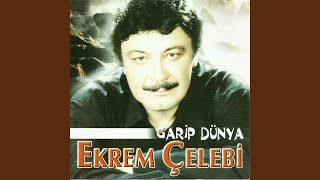 Garip Dünya