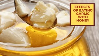 Effects Of Eating Garlic With Honey Taken On An Empty Stomach