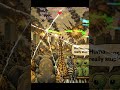 axastaer - Savior Calls #cybercore #experimenalraw #hexlayerjump #trapsoul #aetherhub #headgear