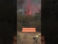 Netherlands Sends Military Helicopters to Battle Spain's Massive Wildfires
