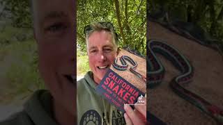 How to find snakes in the wild ~ Get this new book 📖 🐍📖