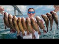 This BRIDGE was LOADED! Catch Clean Cook (Mangrove Snapper)