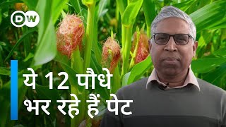 भूखी मर जाएगी दुनिया अगर ये 12 पौधे ना हों [Twelve plant and five animal species feeding the world]