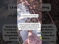 La science du #grounding. Tout est sous nos yeux 👀