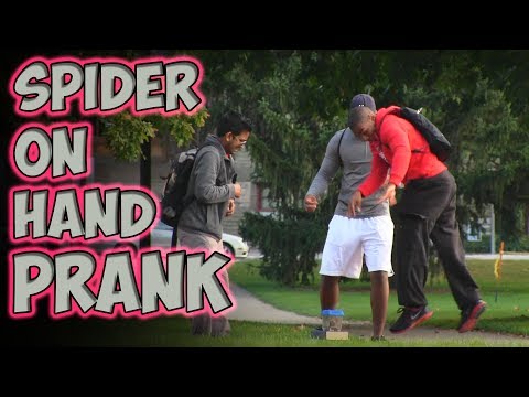 Spider On Hand Prank [MagicOfRahat Prank]