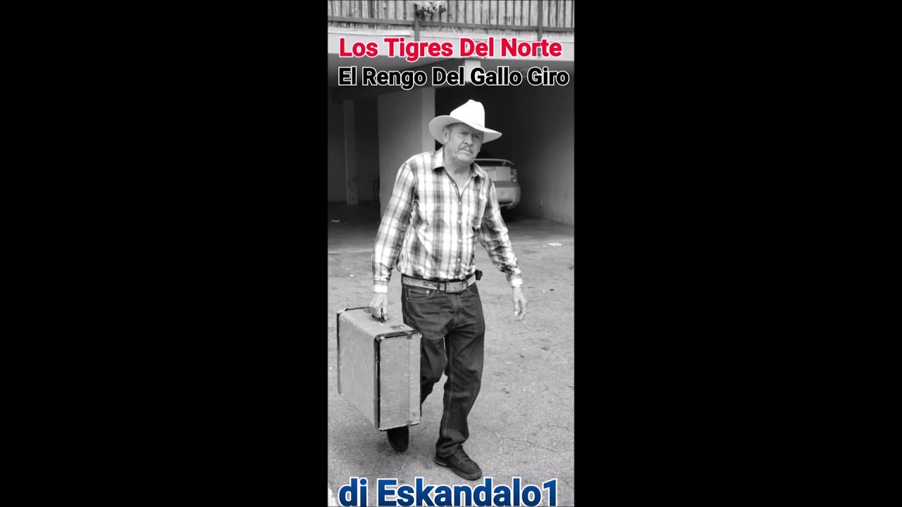 El Rengo Del Gallo Giro Los Tigres Del Norte YouTube