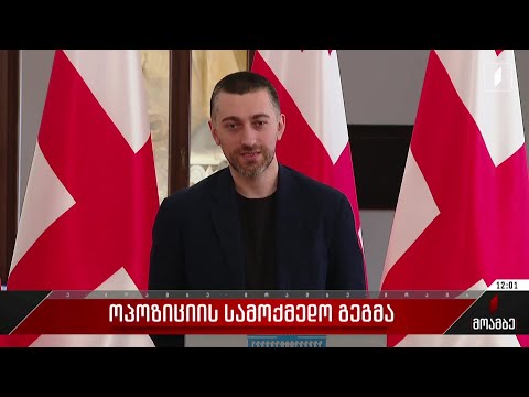 ოპოზიციის სამოქმედო გეგმა