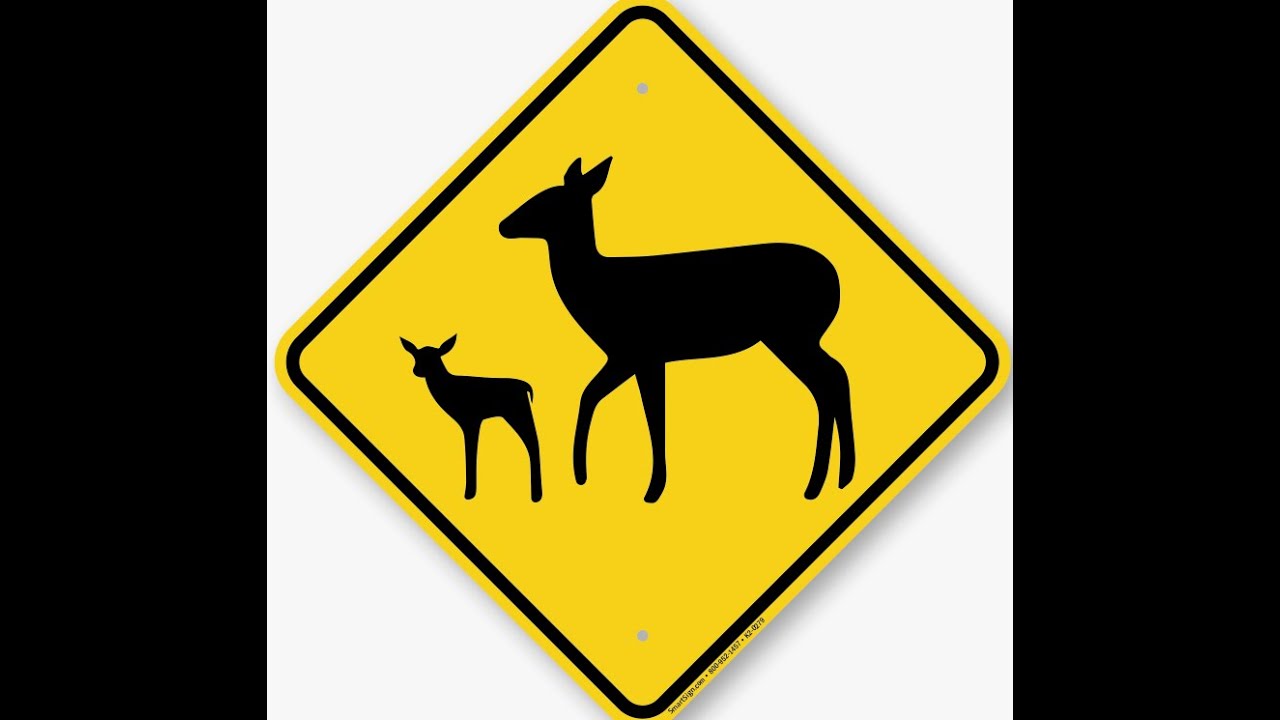 Олень дорожный. Знак олень. Знак осторожно олени. Олень с табличкой. Предупреждающий знак олень.