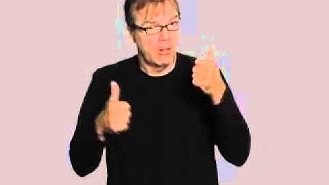 CHS Position Paper On Noise Pollution 01