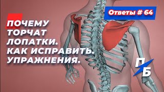 видео: Почему торчат лопатки. Как исправить. Упражнения. Ответы 64 картинка: Почему торчат лопатки. Как исправить. Упражнения. Ответы 64