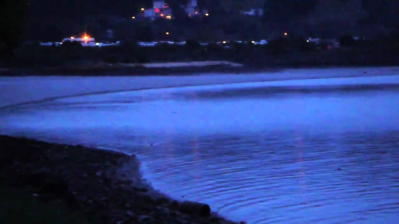Bill Evans , Eddie Gomez - Montreux III Bill Evans , Eddie Gomez - Montreux III