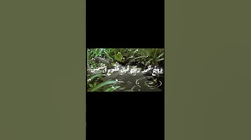 سورة(ق) الآية ٣٩ والآية ٤٠| بصوت رياض داود #القرآن_الكريم #المصحف #القرآن #سورة_ق #ترتيل