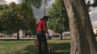 Syringe cleanup program seeks volunteers to improve communities