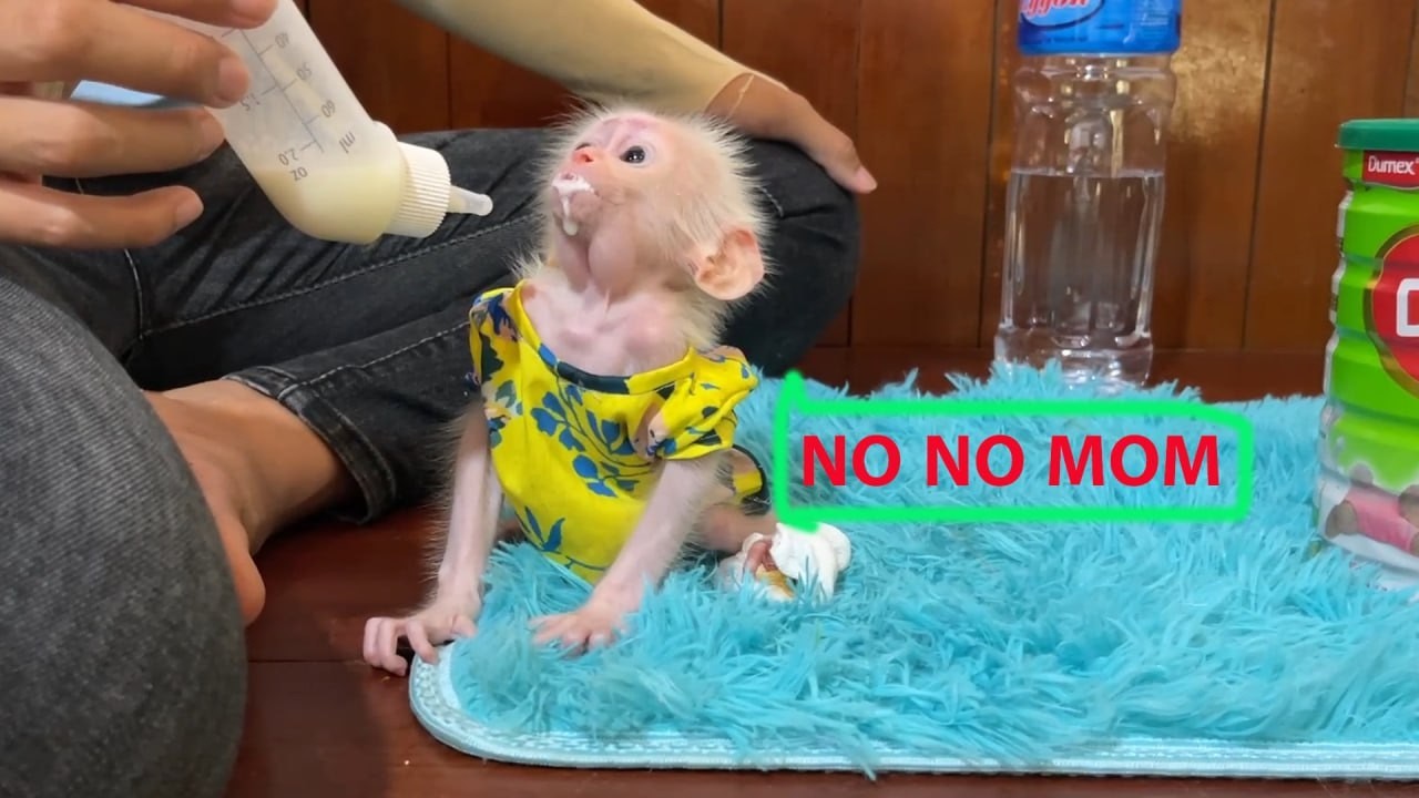 Mom Milk feeding Baby Minea Until She Was Completely Full