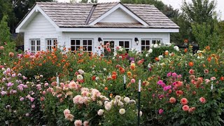 Planting Garlic, Harvesting Berries & Tagging Dahlias! 🧄🍓🌸 // Garden Answer