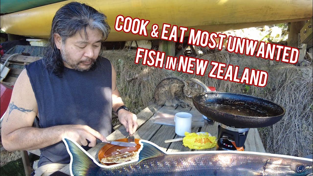 Cook & Eat Most Unwanted Fish in New Zealand. BARRACUDA! YouTube