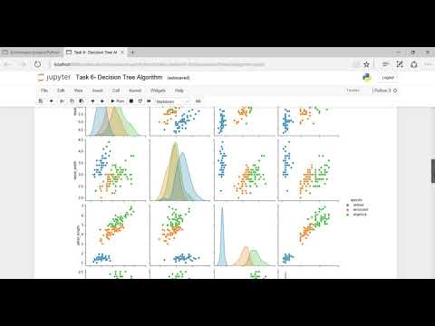 Task 6  Decision Tree Algorithm