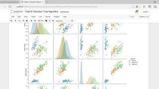 Task 6  Decision Tree Algorithm