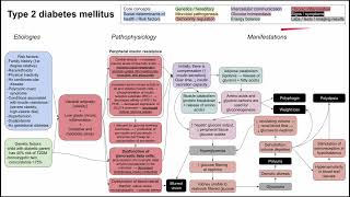 Type 2 diabetes mellitus (mechanism of disease)