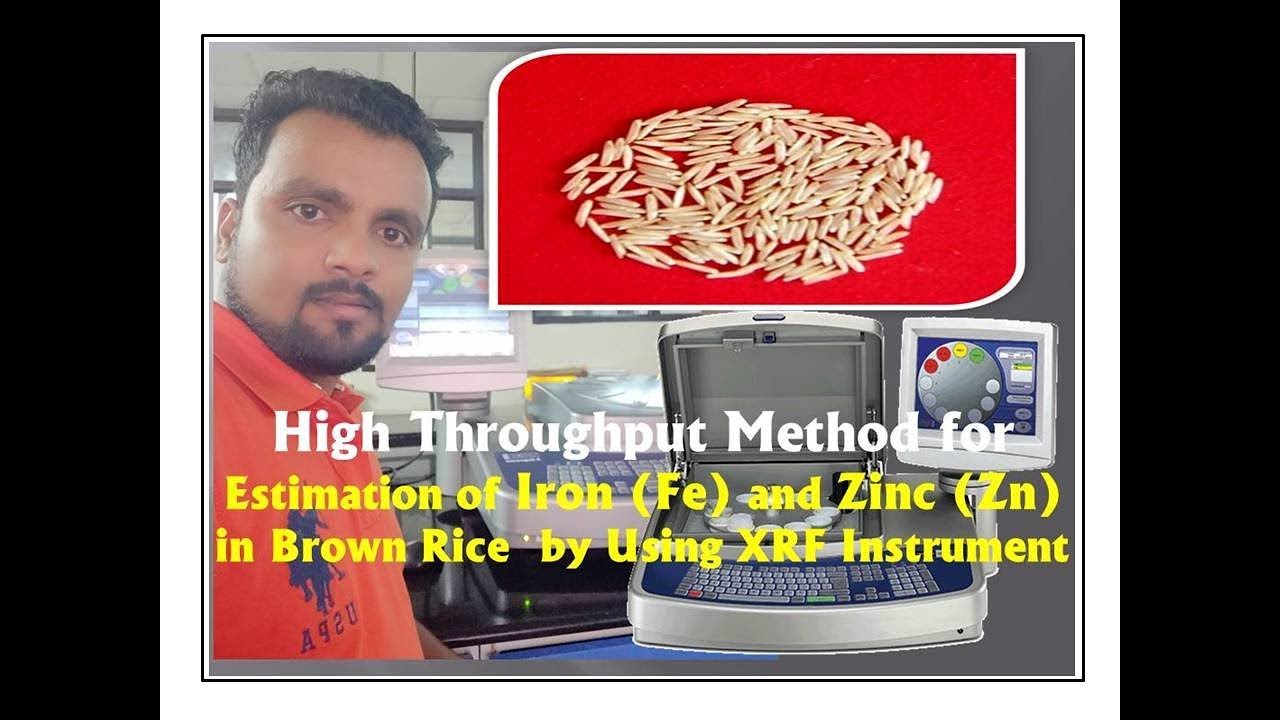 High Throughput method for Estimation of minerals iron (Fe) and zinc ...