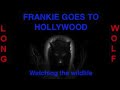 Frankie goes to Hollywood - watching the wildlife - Extended Wolf