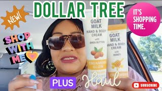 Dollar Tree Shop With Me + Car Haul  Profile