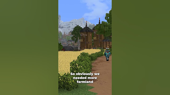 This is what End Game Minecraft Looks Like