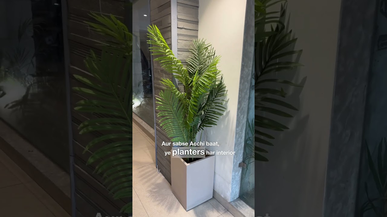 FRP Planters - Perfect for Hotel, Restaurants & Bakeries