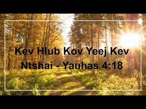 Video: 10 Txoj Hauv Kev Los Zais Plaub Hau Tshiab