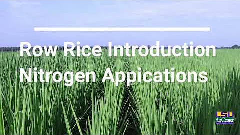 Row Rice Field Day Dr. Dustin  Harrell, Rice Specialist, row rice presentation.