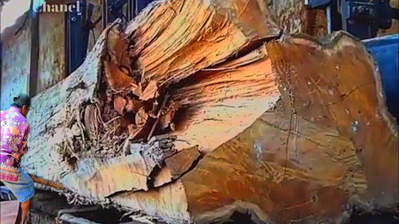 Sawing And Cutting Awesome And Dangerous Tanker Wood In Sawmill #1 ...