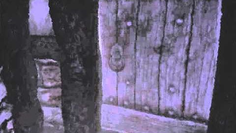 Amnesia - With deadly greetings - PART 2