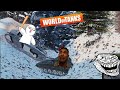Wot Funny Moments | World of Tanks LoLs - Episode 1️⃣0️⃣4️⃣😈😎😂