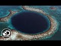 What is a Blue Hole? | Discovery LIVE: Into the Blue Hole