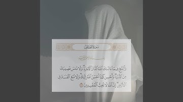 ما تيسر من سورة القصص - عمر بن ضياء الدين